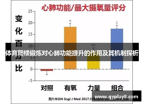 体育爬楼锻炼对心肺功能提升的作用及其机制探析