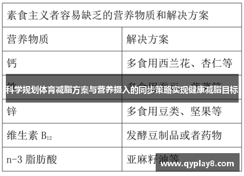 科学规划体育减脂方案与营养摄入的同步策略实现健康减脂目标